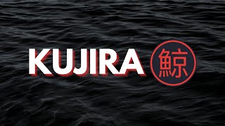 Kujira (KUJI) – The Future of Sustainable DeFi?