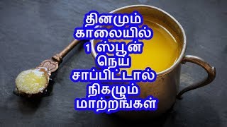 தினமும் காலையில் 1 ஸ்பூன் நெய் சாப்பிட்டால் நிகழும் மாற்றங்கள்