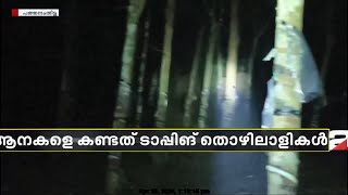 പത്തനംതിട്ടയില്‍ ജനവാസമേഖലയില്‍ കാട്ടാന; ടാപ്പിംഗ് തൊഴിലാളികള്‍ പകര്‍ത്തിയ ദൃശ്യങ്ങള്‍