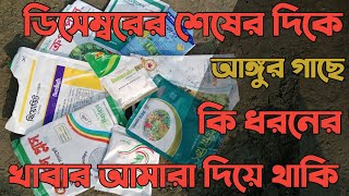 ডিসেম্বরের শেষের দিকে আঙ্গুর গাছে কি ধরনের খাবার আমারা দিয়ে থাকি *নাটোরের কৃষি*