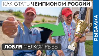 Ловля мелкой рыбы В ТЕМПЕ. Секреты ЧЕМПИОНА!