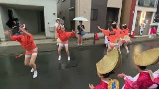 【2024年きたまち阿波踊り】しのぶ連