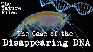 The Nature Files (Ep. 2): The Case of the Disappearing DNA