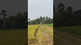 Have a nice day! The farmer is happy. #farming #agriculture #farming