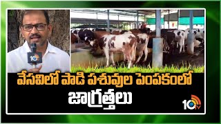 వేసవిలో పాడి పశువుల పెంపకం‎లో జాగ్రత్తలు | Precautions In Summer Dairy Farming  |Matti Manishi |10TV