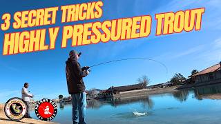 High Pressure Trout Fishing: 3 Secrets for Stubborn Stocked Trout