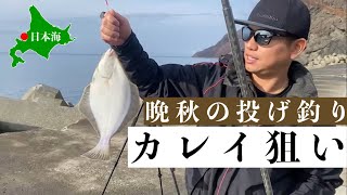 晩秋の投げ釣り！カレイ釣り【日本海】