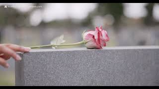Remember the Fallen: A Legacy Carried by Mothers