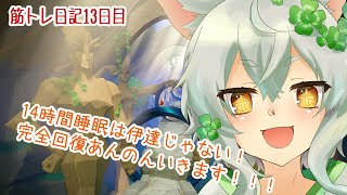 【RFA リングフィットアドベンチャー #13】睡眠こそ最強の回復術なり！！！【あんのん / unknown】