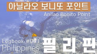 [바다탐험] 로그북 no. 001 - 보니또 포인트 (필리핀 아닐라오)