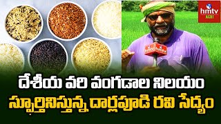 దేశీయ వరి వంగడాల నిలయం | Desi Paddy Varieties | Farmer Darlapudi Ravi | hmtv Agri