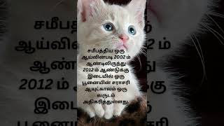 2002 ம் ஆண்டிலிருந்து 2012 க்கு இடையில் ஒரு பூனையின் சராசரி ஆயுட்காலம் ஒரு வருடம் அதிகரித்துள்ளது