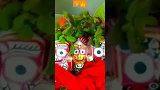 Jay jagannath 🙏ଜଗତର ନାଥ ଜଗନ୍ନାଥ ସେ👍#like #tranding #subscribe