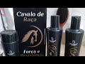 kit capilar Bioinstinto CAVALO DE RAÇA | Aplicação e resultado 🐴