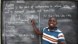 MATHS INTRODUCTION TO ALGEBRA