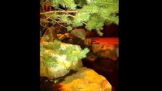 My Japanese Garden by night 2012.wmv