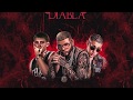 Farruko Ft. Lary Over Y Bad Bunny - Diabla (Remix) (Audio)