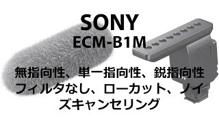 SONY ECM-B1M 純粋に神ショットガンマイクをテスト, 無指向性、単一指向性、鋭指向性と、フィルターなし、ローカット、ノイズキャンセリング