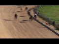 gunnedah 27 05 2017 race 4