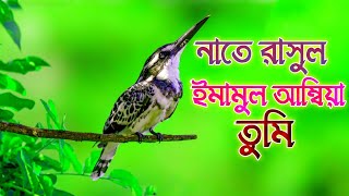 bangla_song, gojol_gan, gojol_2023, notun_gojol, notun_gojol_gan, naat, islamic_naat, naat_2023,