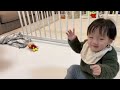 仕事から帰ってきたパパに、バイバイする赤ちゃん❗️1歳双子の初めてが可愛すぎた ^^