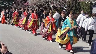 20230305 福岡市 太宰府天満宮 「曲水の宴」に向かうお姫様の行列 と梅祭り