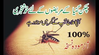 Chikungunya Ka Ilaj In  Urdu BY BHEDA1