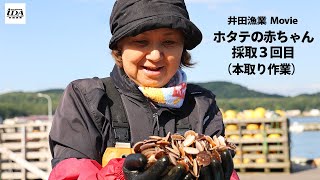 2022年9月　赤ちゃん採取　山木バージョン