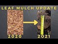 Autumn Leaf Mulch 2021 UPDATE