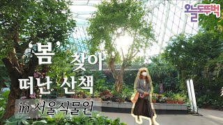  [A Good Day to Walk] A walk in search of'Spring' in 2021 🌱 | Seoul Botanical Garden