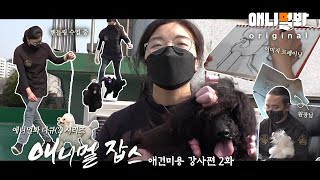 😲웃픔 주의😲 원장님 카드로 커피 사 먹으려고 꼼수 썼는데 내가 걸렸다 [애니멀잡스 EP.6]ㅣWhat They Do When No Pet Grooming Class