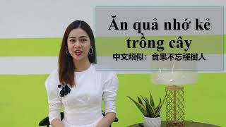 《越南語試聽》芳草老師-越南成語班「Ăn quả nhớ kẻ trồng cây」：食果不忘種樹人