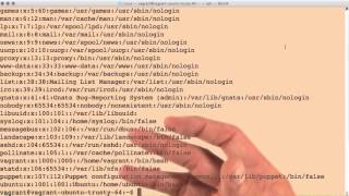 Introduction to etc password