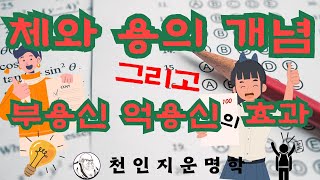 체와 용의 개념 그리고 부용신 억용신의 효과