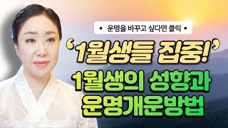 음력1월생의 전체적인 성향과 태어난 달로 보는 타고난 재물운 / 부자되는운명개운방법  [서울유명한점집 용한점집]