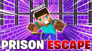 Minecraft, But It's PRISON ESCAPE