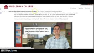 Navigating our course in Blackboard
