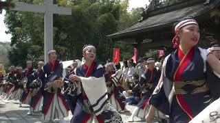 躍動　秦野元気まつり2019　流し演舞①