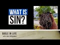 What is Sin? | Basic Bible Questions