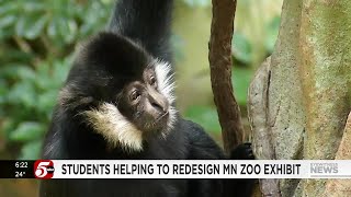 Students compete in design challenge at Minnesota Zoo featuring white-cheeked gibbon exhibit