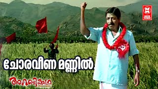 Choraveena Mannil Ninnum  | Arabikkatha | Sreenivasan | Anil Panachooran | Sreenivasan