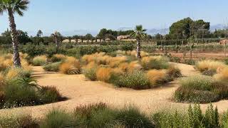 FINCA GARDEN | MALLORCA | 2024