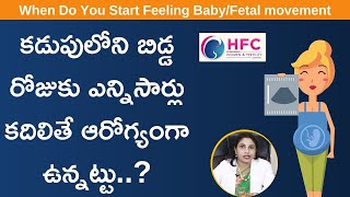 కడుపులోని బిడ్డ రోజుకు ఎన్నిసార్లు కదలాలి  || When We Feel Fetal Movement || HFC