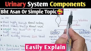 Urinary System | Kidney, Ureter, Urinary Bladder And Urethra | Class 12 Biology