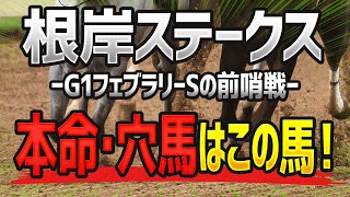 【根岸ステークス2021予想】本命で狙うべき「鉄板軸馬」と激走期待の「穴馬」はこの馬だ🐴【根岸S】