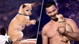 DOG ACROBATICS! This INCREDIBLE Duo AMAZED The Judges on Romania's Got Talent!