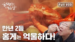 [한국인의밥상] 만년 2등, 홍게는 억울하다! (Full VOD)