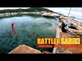 EP.137 Rattler Sabiki Gaming | Anti-zero! Harvest mode! | Pier fishing