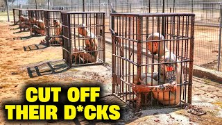 Prisons That Are Worse Than Death