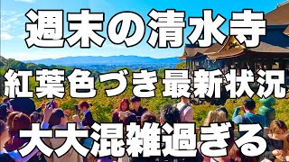 【4K】2024年11月9日（土）週末の京都清水寺。紅葉色づき最新状況！大大混雑過ぎる！周末的京都清水寺。秋叶最新状况！太拥挤了！Kiyomizu-dera Temple, Kyoto japan